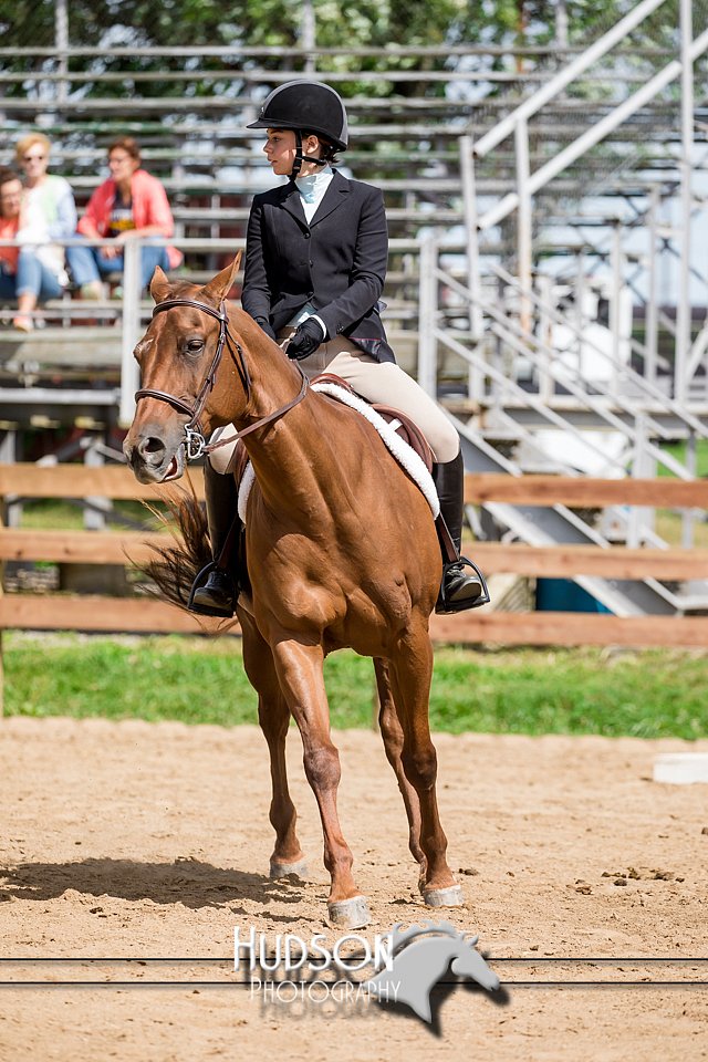 4H-3rd-072917-2385.jpg
