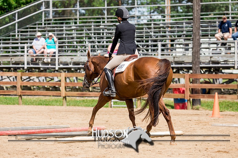 4H-3rd-072917-2386.jpg