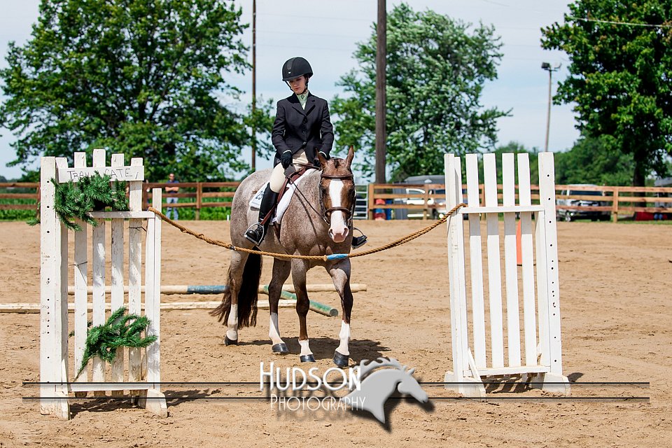 4H-3rd-072917-2438.jpg