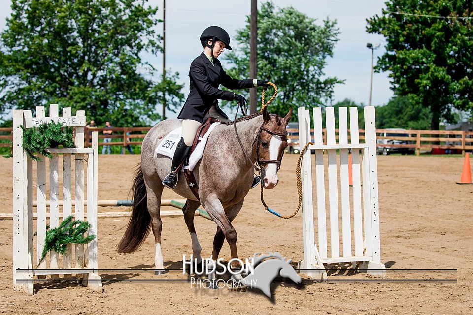4H-3rd-072917-2442.jpg