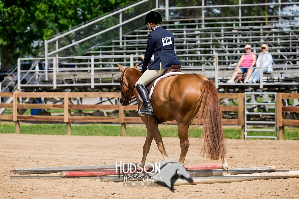 4H-3rd-072917-2463.jpg