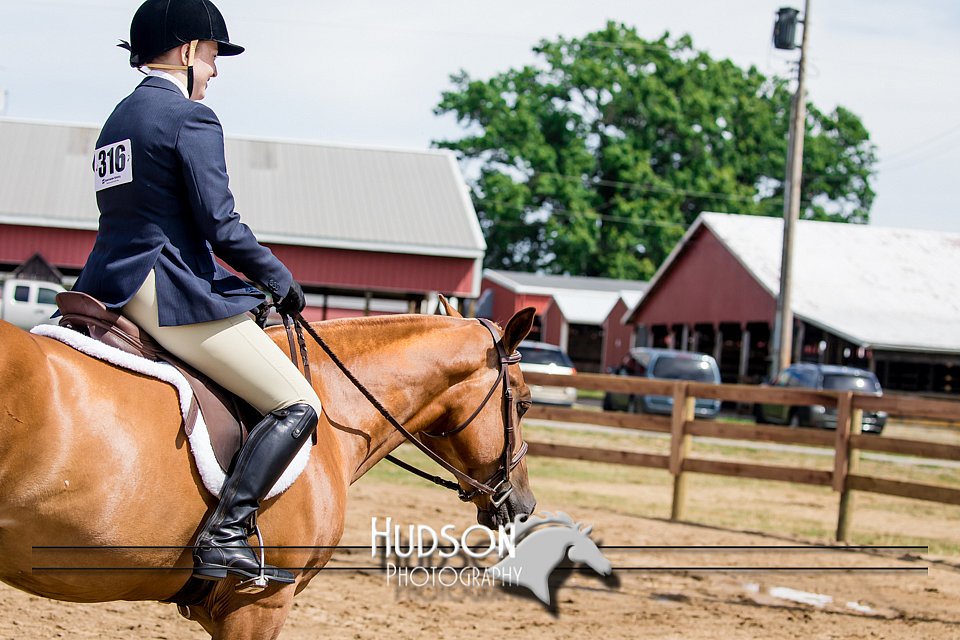 4H-3rd-072917-2470.jpg
