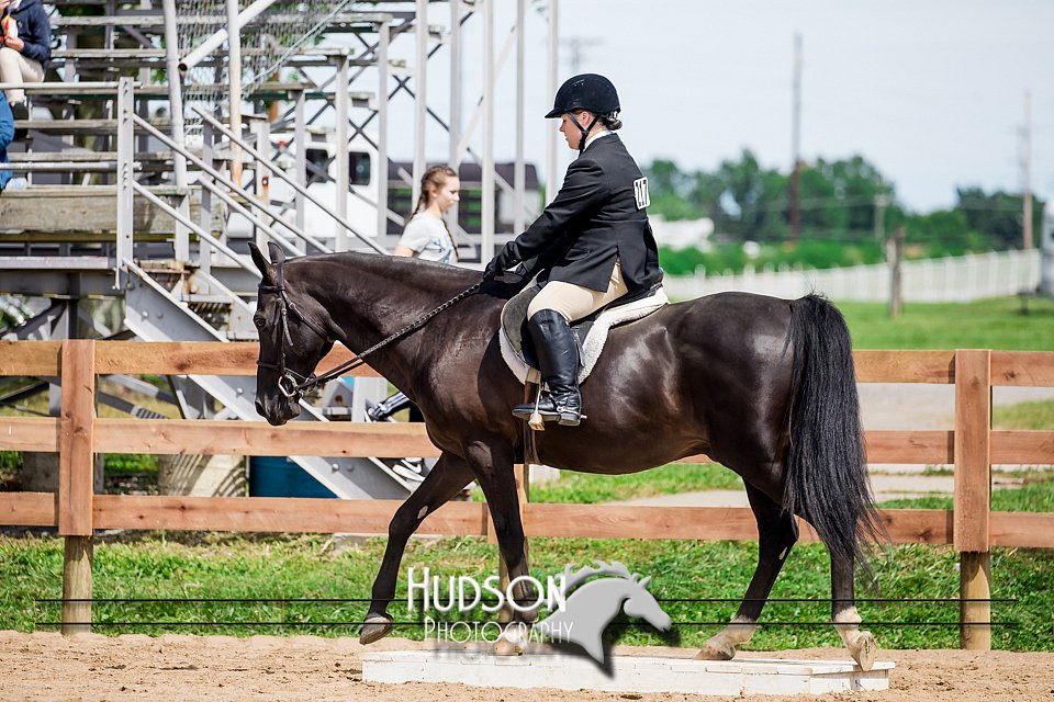 4H-3rd-072917-2472.jpg