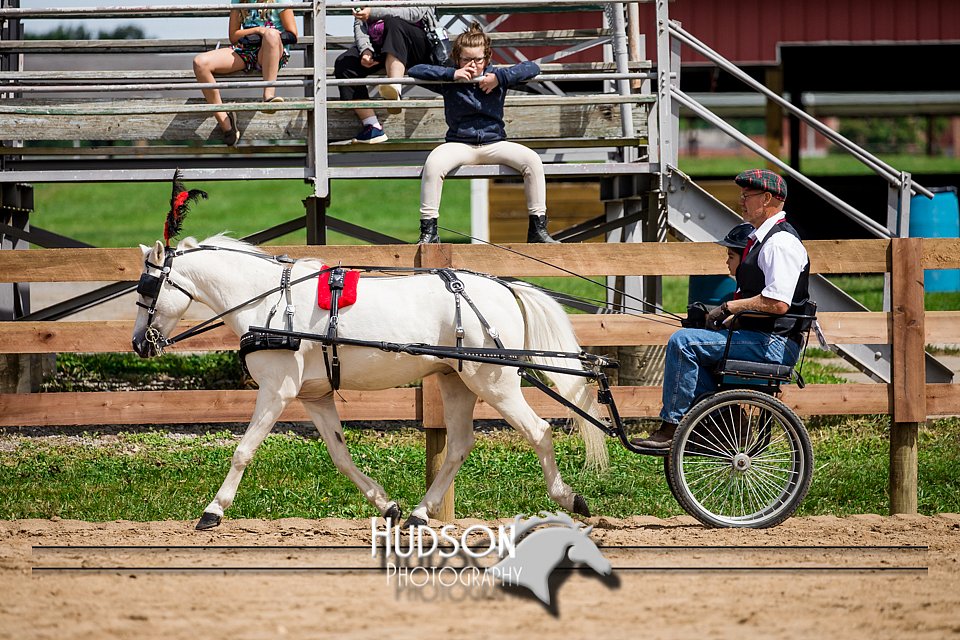 4H-3rd-072917-2528.jpg