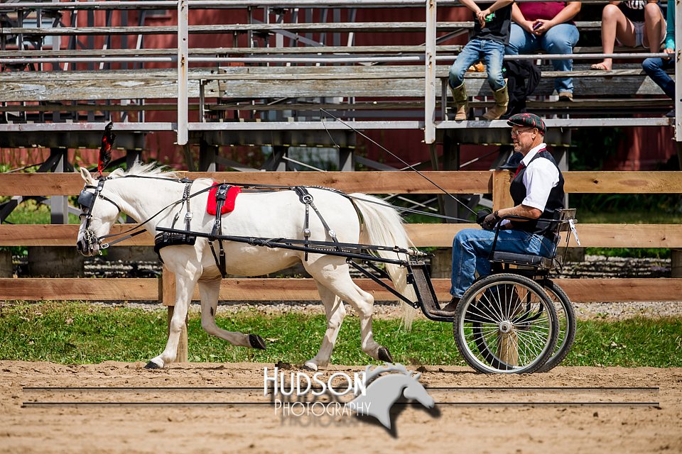 4H-3rd-072917-2529.jpg