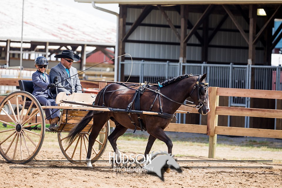 4H-3rd-072917-2554.jpg