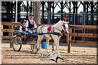 4H-3rd-072917-2549.jpg