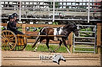 4H-3rd-072917-2560.jpg