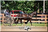 4H-3rd-072917-2565.jpg