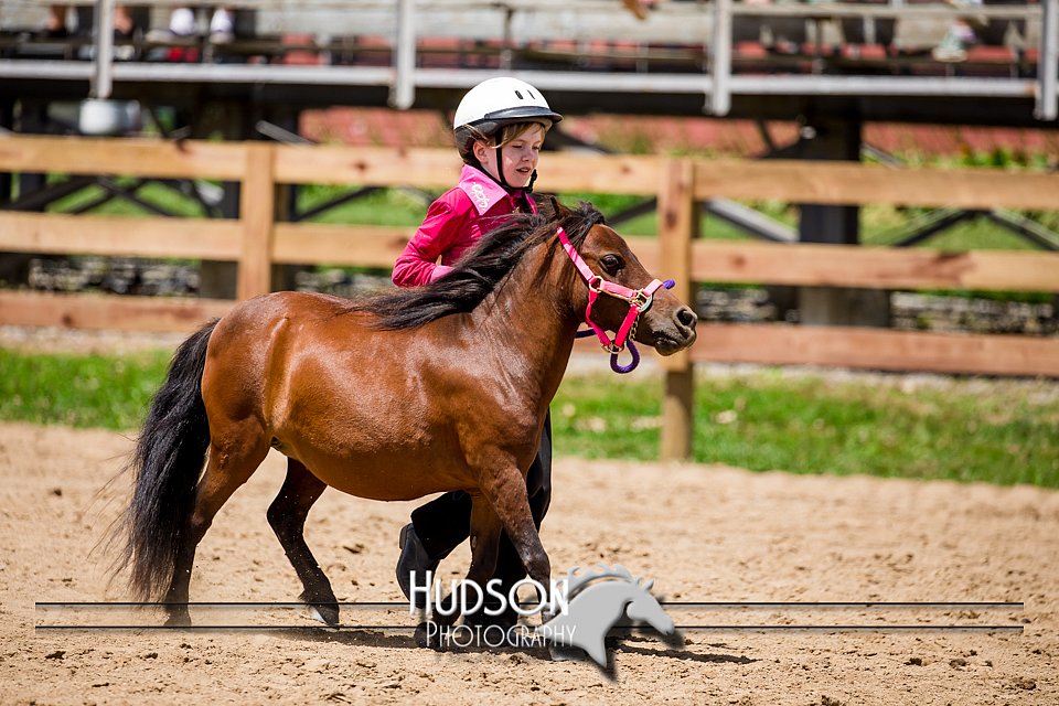 4H-3rd-072917-2733.jpg