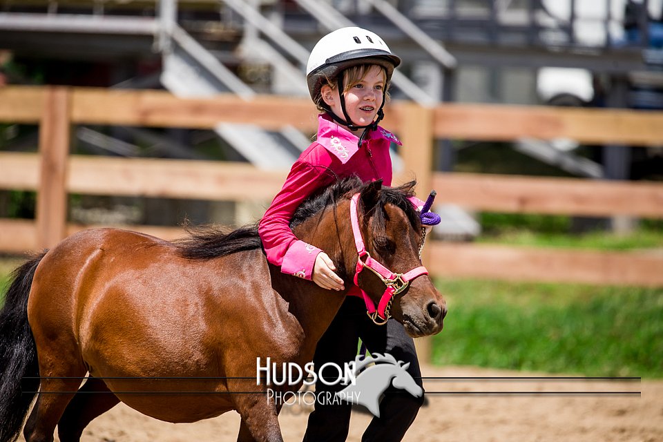 4H-3rd-072917-2738.jpg