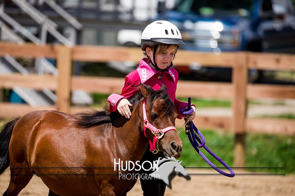 4H-3rd-072917-2740.jpg