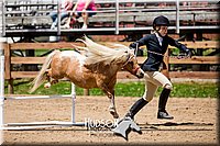 4H-3rd-072917-2809.jpg