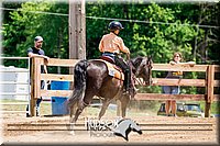 4H-3rd-072917-2836.jpg