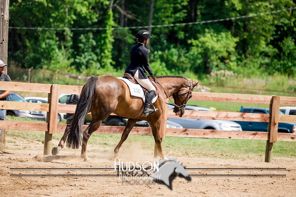 4H-3rd-072917-3175.jpg