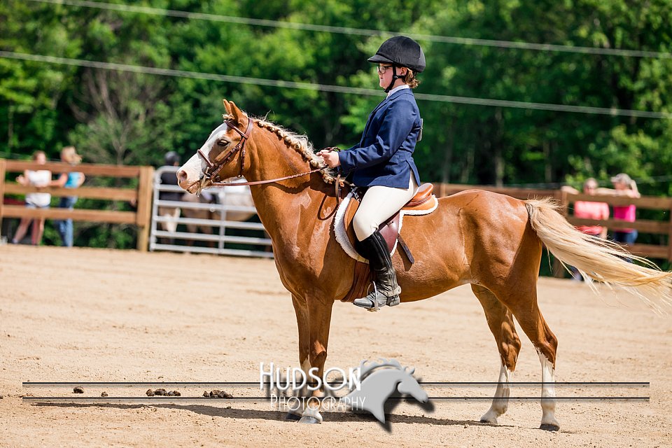 4H-3rd-072917-3235.jpg