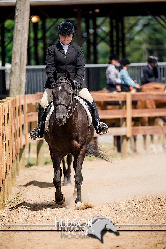 4H-3rd-072917-3240.jpg