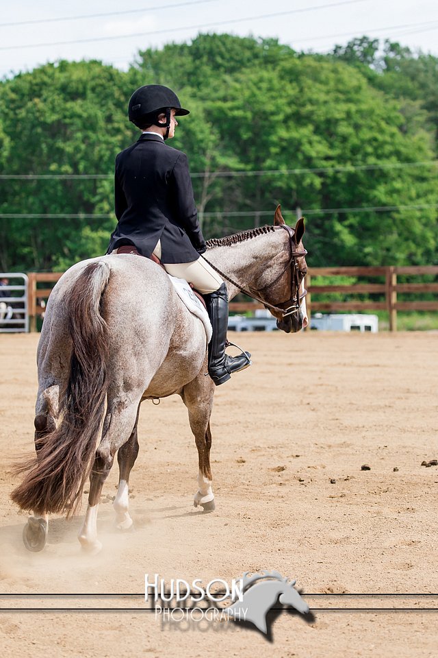 4H-3rd-072917-3286.jpg