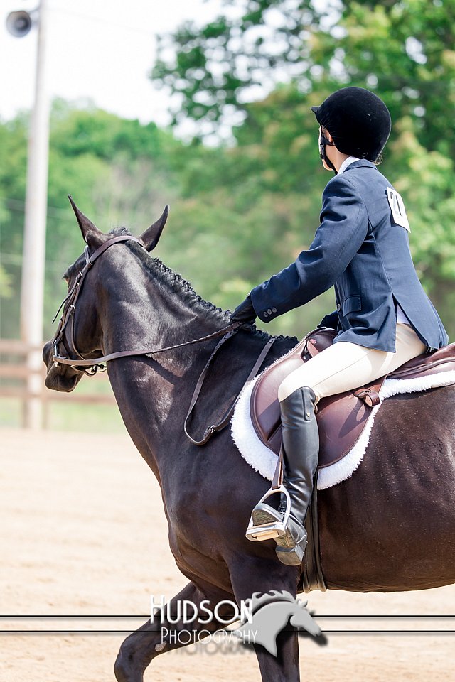 4H-3rd-072917-3299.jpg