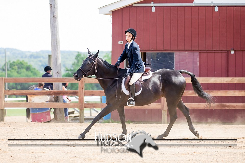 4H-3rd-072917-3303.jpg