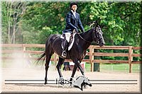 4H-3rd-072917-3297.jpg