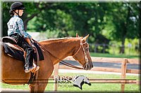 4H-3rd-072917-3425.jpg