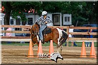 10. Raised Box Keyhole Ponies  Jr. Rider
