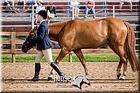 23.1  Master Showmanship - Fair