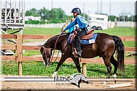 32. Open Trail Ponies