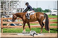 33. Open Trail Horses, Jr. Rider