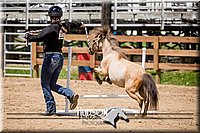 51. Mini Horse Jumping