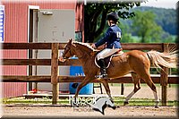 68. Beginner English Equitation