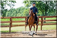 72. Beginner Western Horsemanship