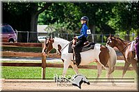 74. Western Horsemanship, Intermediate