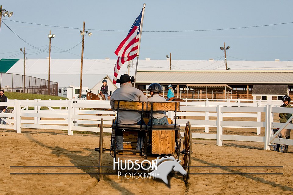 4H-District-17-2252.jpg