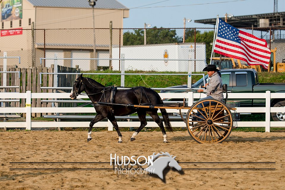 4H-District-17-2254.jpg