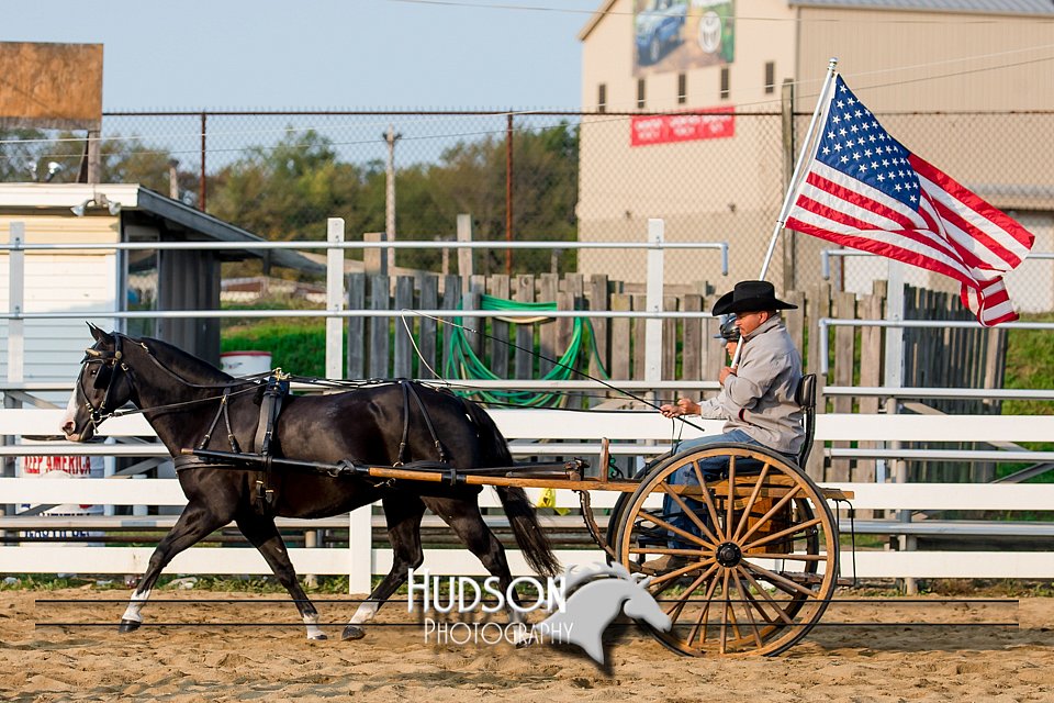 4H-District-17-2255.jpg