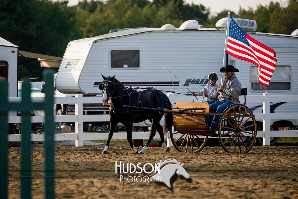 4H-District-17-2256.jpg