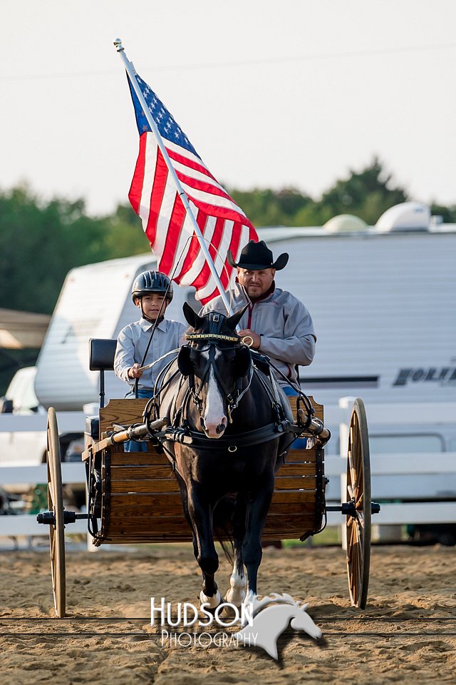 4H-District-17-2260.jpg