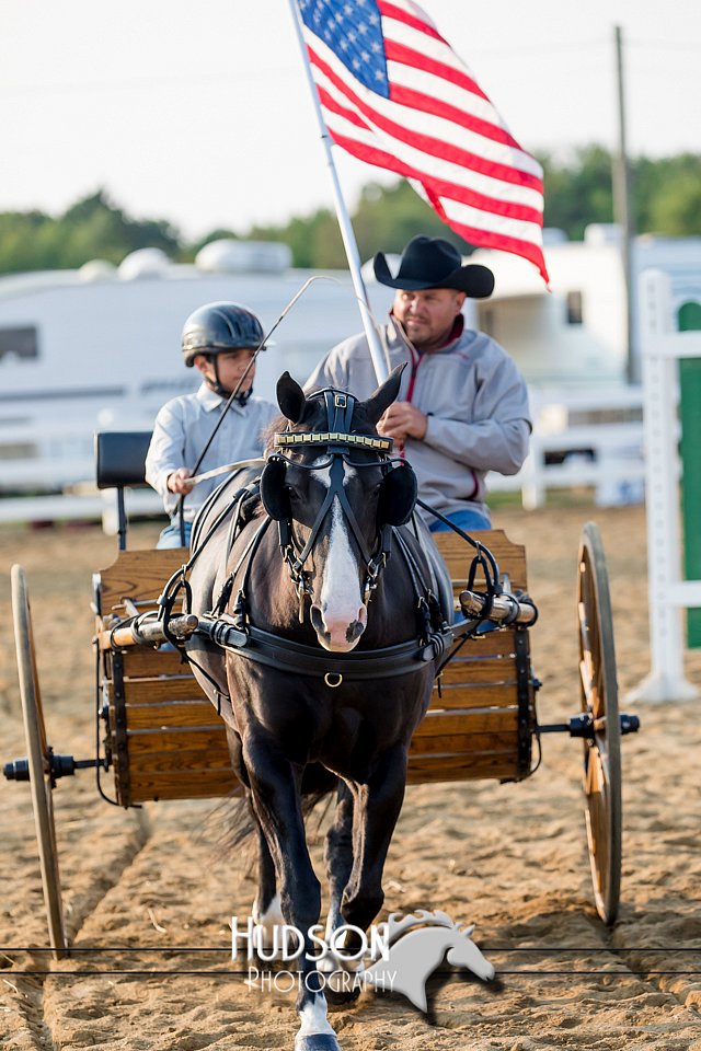 4H-District-17-2262.jpg