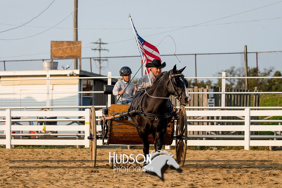 4H-District-17-2271.jpg