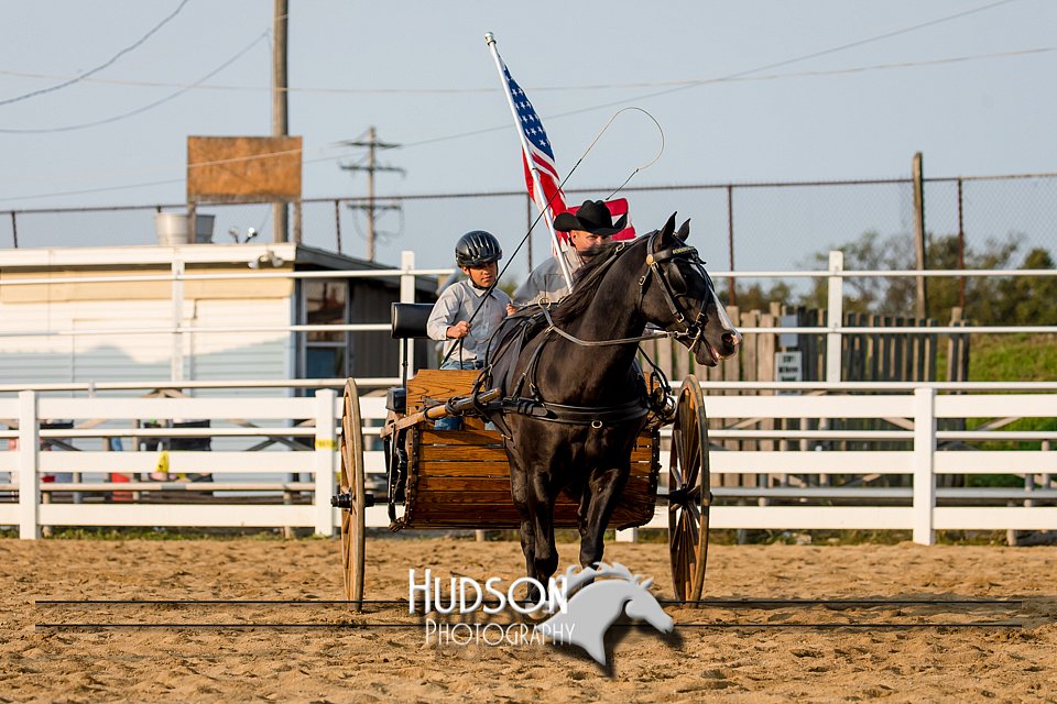 4H-District-17-2272.jpg