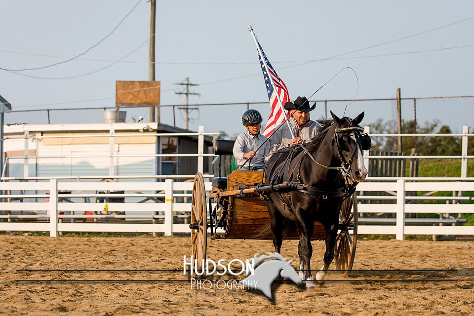 4H-District-17-2274.jpg