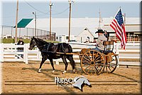 4H-District-17-2234.jpg