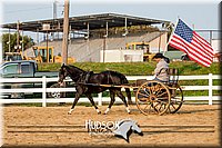 4H-District-17-2235.jpg