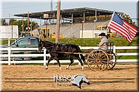 4H-District-17-2236.jpg