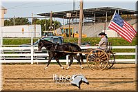 4H-District-17-2237.jpg