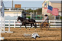 4H-District-17-2240.jpg