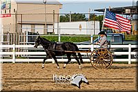 4H-District-17-2254.jpg