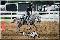 4H-District-17-0074.jpg